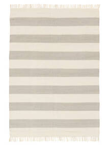  Cotton Stripe - Grå/Off White Teppe 160X230 Ekte Moderne Håndvevd Grå/Off White (Bomull, )